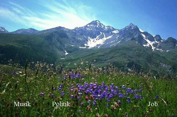 Hier sollten Sie eigentlich eine Image Map sehen,
mit der Sie zu den Einzelthemen weiterverzweigen k&ouml;nnen